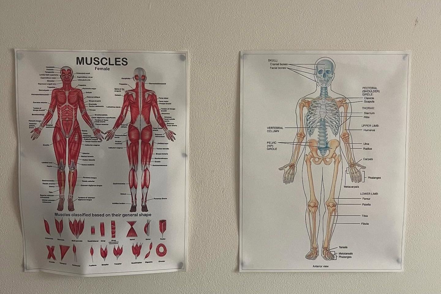 Aesthetics Cagliari - Voucher - Image 4