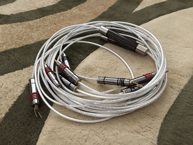 High Fidelity Cables CT-1 Enhanced Speaker Cables, 2.5M