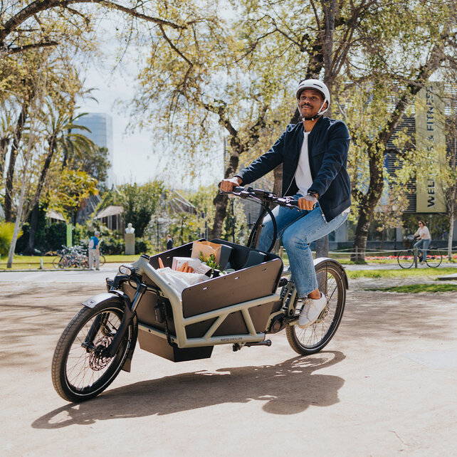 elektrische fiets transport