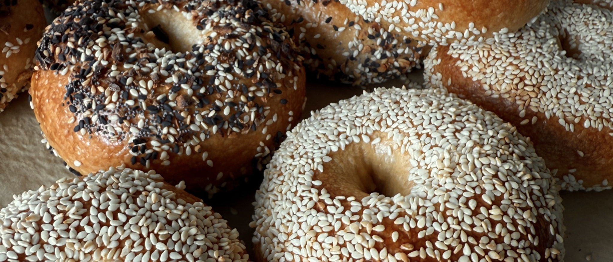 neighborhood bagels — photo from hotplate.com