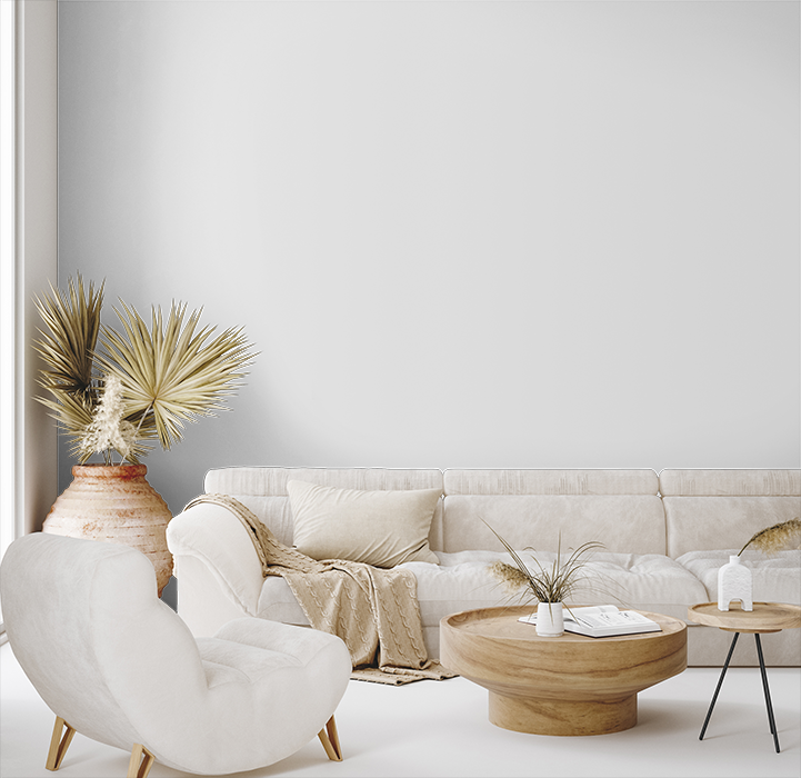 White modern living room ideas