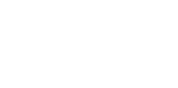 logo of The Perigon