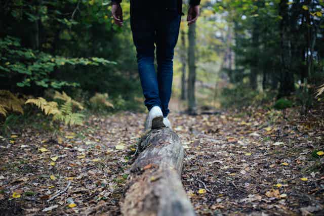 Person walking on a fallen log along a forest trail surrounded by autumn foliage and trees.