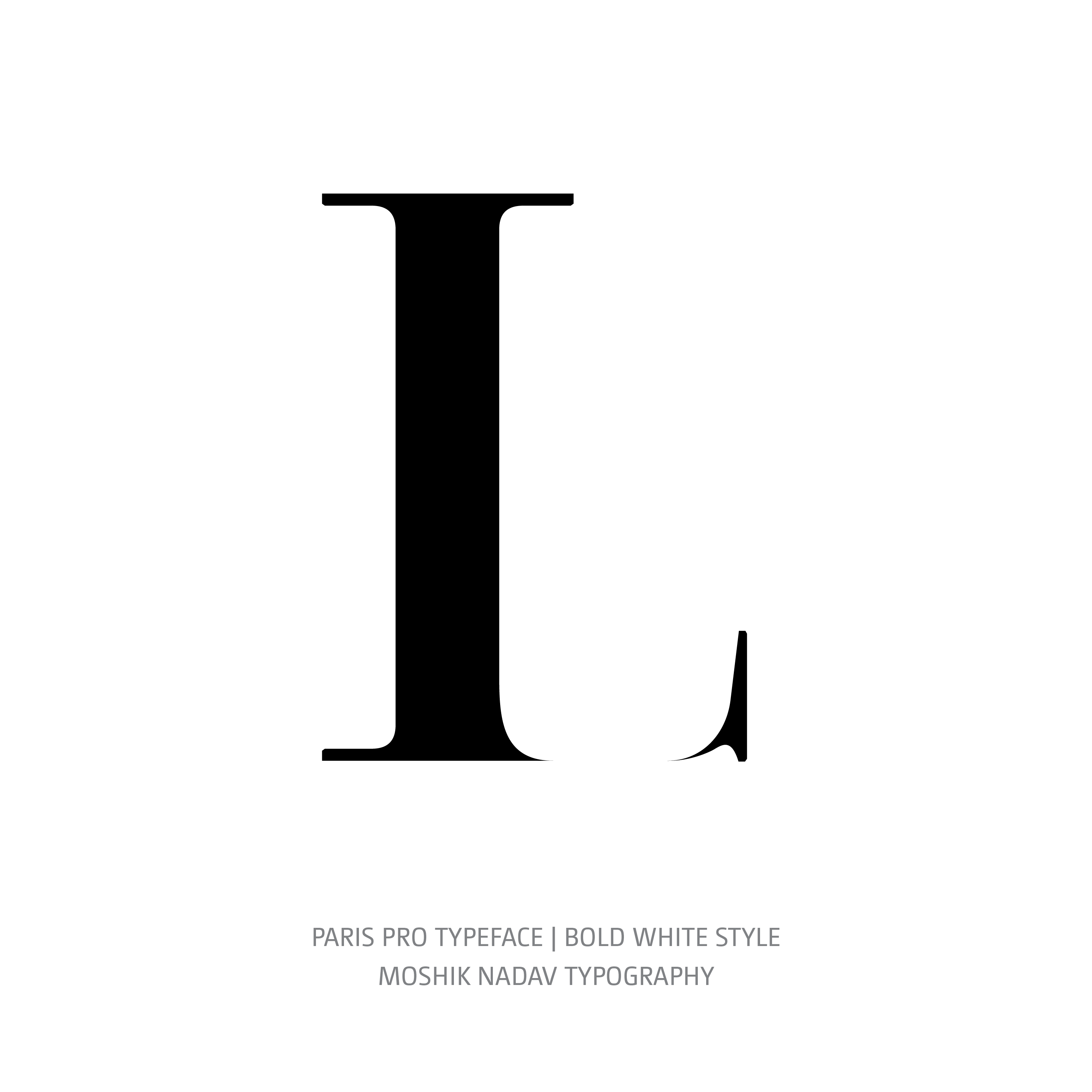 Paris Pro Typeface Bold White L