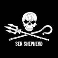 ROOM IN A BOX - Thursdays for Future Spende an Sea Shepherd Deutschland