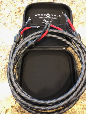 Wireworld Silver Eclipse 7 Speaker Cable- 2.5 meter