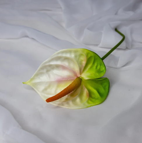 Anthurium Small White/Green - Realistic Artficial Flowers - Image 2
