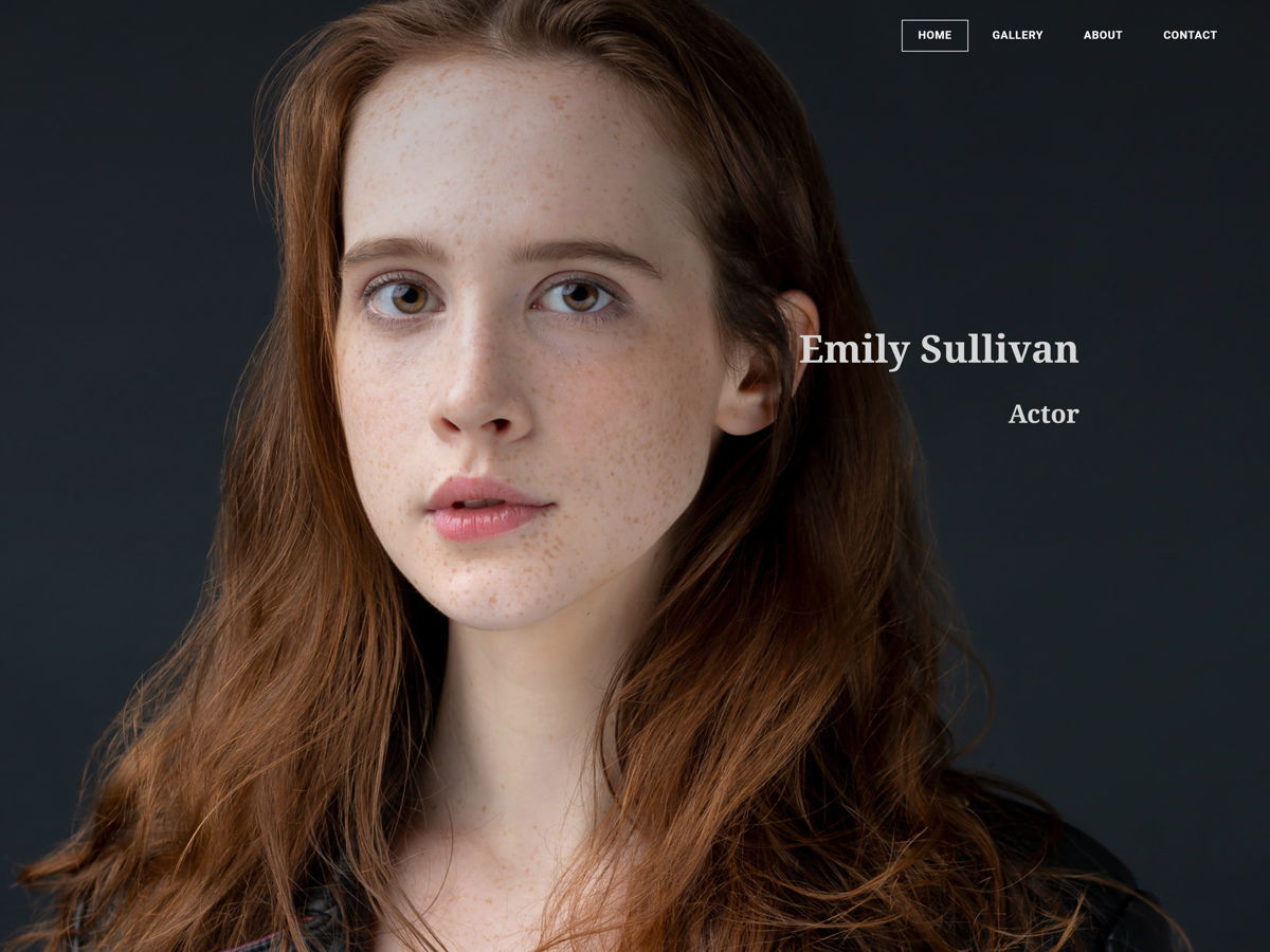 Screenshot of Emily Sullivan, from the resume websites collection.
