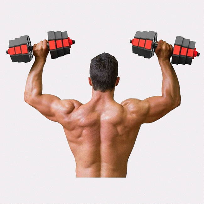 Adjustable Dumbbells Barbell Sets Weights 22/44/66/88/110 Pound for Men Women Home Gym Fitness