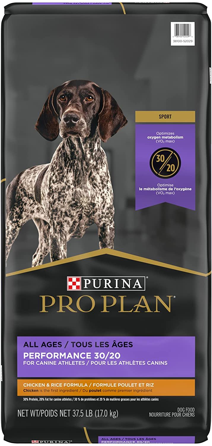 Purina Pro Plan Sport Formula Dry Dog Food vs Ketona Chicken Recipe Dog