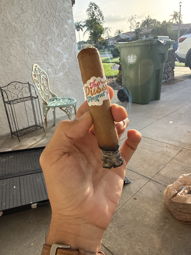Cigar Session Photo