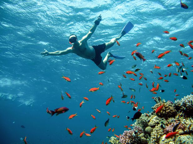 Young man snorkeling underwater,red sea, Egypt.