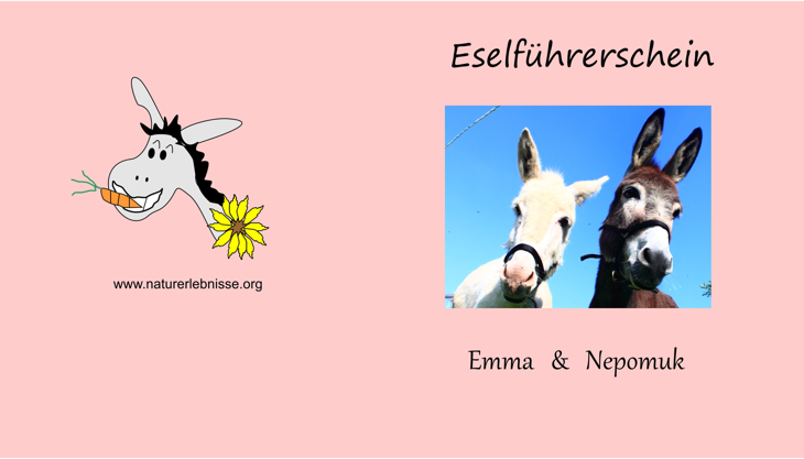eselführerschein vorne