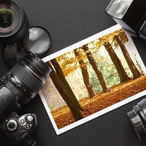 Цифровая фотография для начинающих. 2003. Синтия Л. Барон, Дэниел Пек