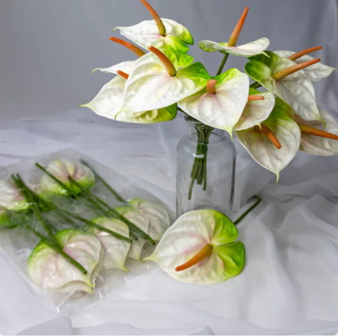 Anthurium Small White/Green - Realistic Artificial Flowers - Image 3