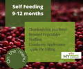 Self Feeding List | My Organic Company