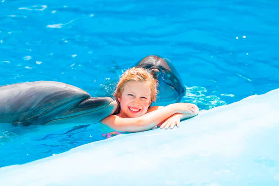 Swimming with dolphins in Antalya from Belek - photo 4