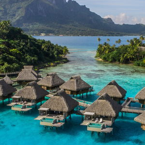 Honeymoon Fund (Venmo Payment)