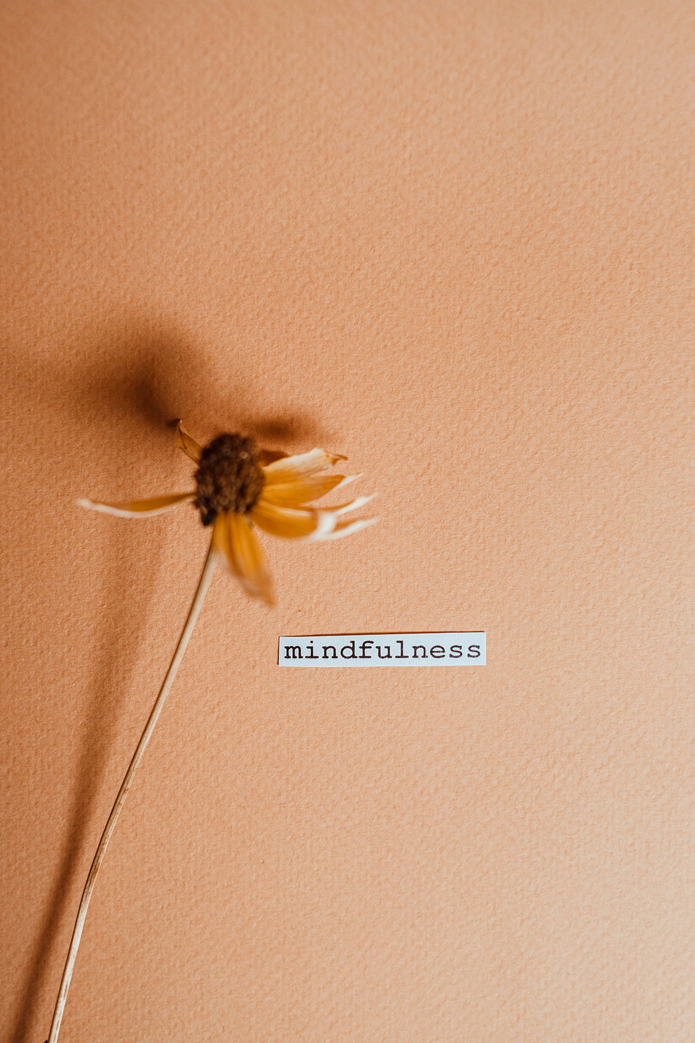 Messy Mindfulness: Tools for Emotional Regulation