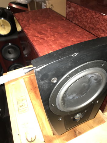 Dynaudio C1 Minor cosmetic flaw with stands