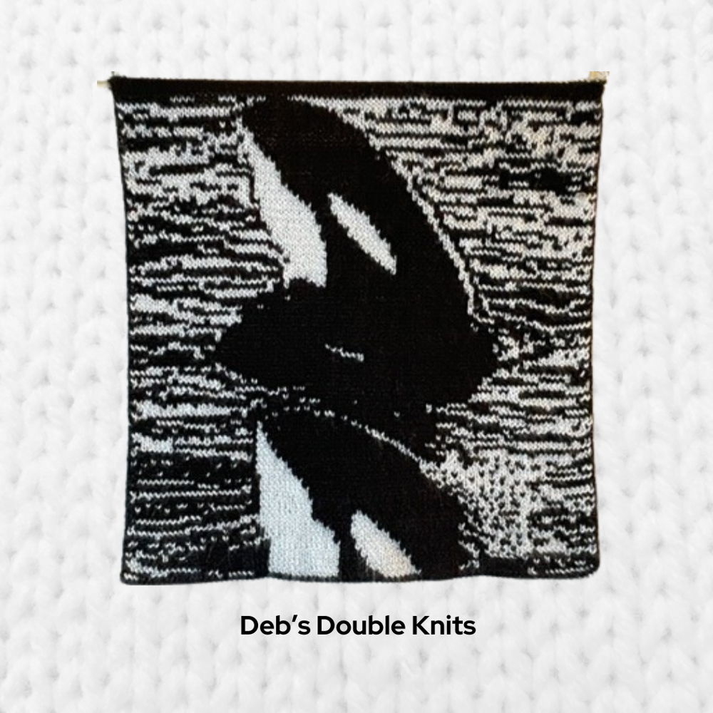Orca Reflections