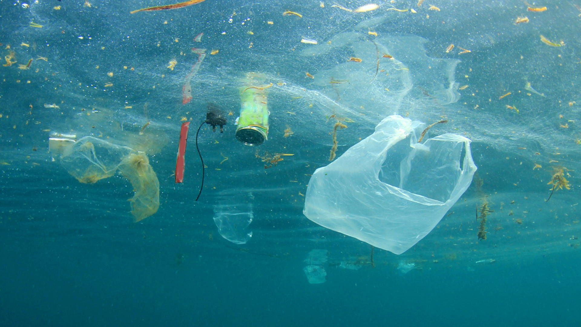 Featured image for Canada Planning To Ban Single-Use Plastics By 2021