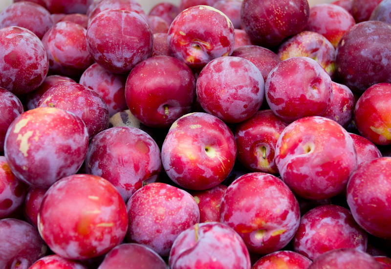すもも食べ過ぎ