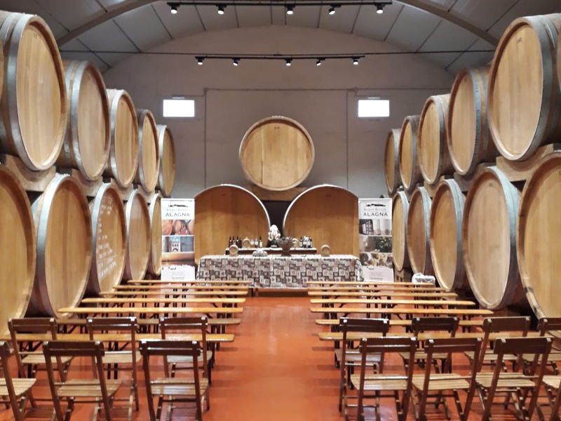 Tour enogastronomici Marsala: Light lunch in cantina