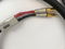 MIT Cables MH-750 Plus CVT Speaker Cables 5