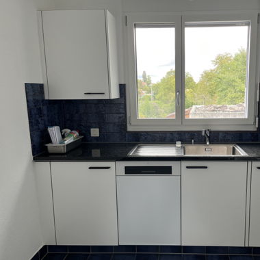 Entire kitchen except Fridge