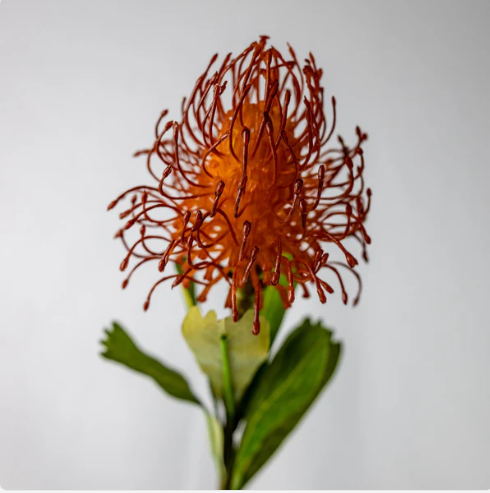 Burnt Orange Leucospermum - Realistic Artificial Flowers - Image 3