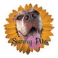 Sunny Pits Rescue logo