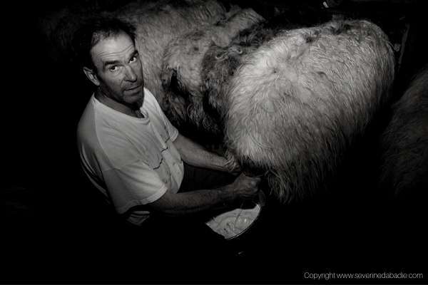 Jean-Bernard Maitia, producteur du Pays basque