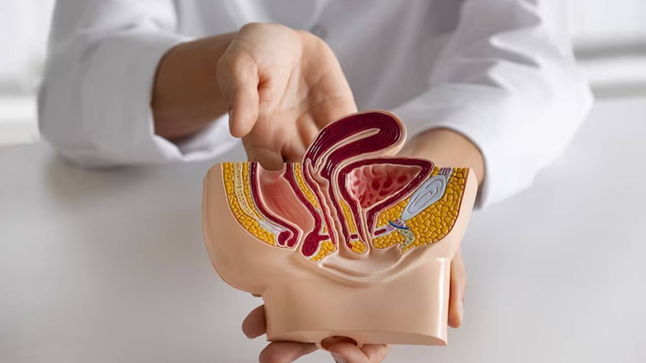 Unlocking the Secrets of Mitochondria in the Heart