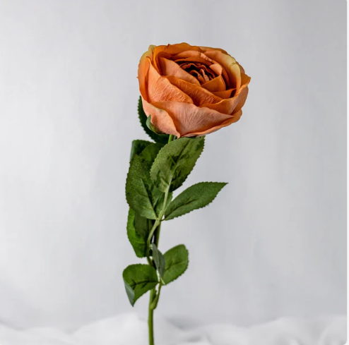Burnt Sienna David Austin Real Touch Open Bud Rose - Realistic Artificial Flowers - Image 3