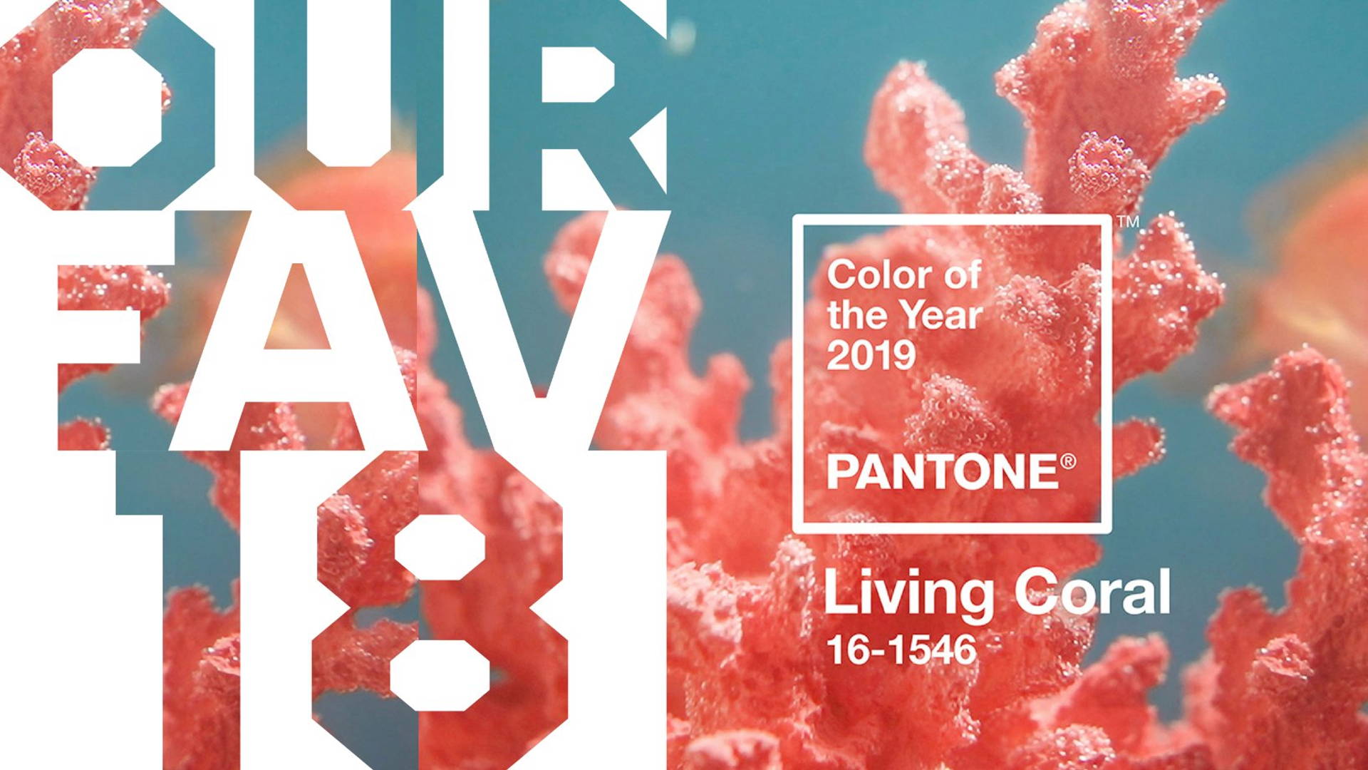 Featured image for 18 "Living Coral" Packaging Designs To Celebrate Pantone's 2019 Color of the Year