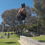 Bailey_Parkour
