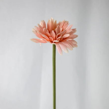 Pale Pink Real Touch Gerberas - Realistic Artificial Flowers - Image 2