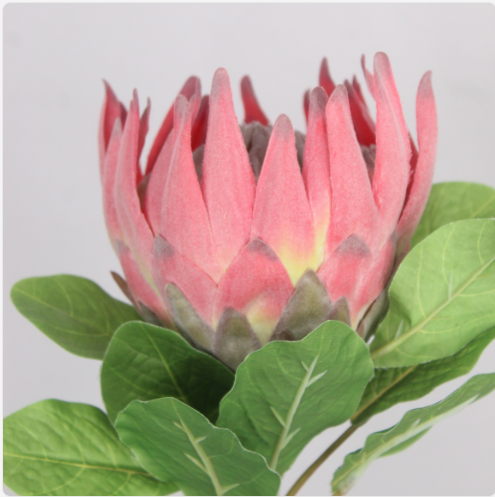 King Protea - Realistic Artificial Flowers - Image 4