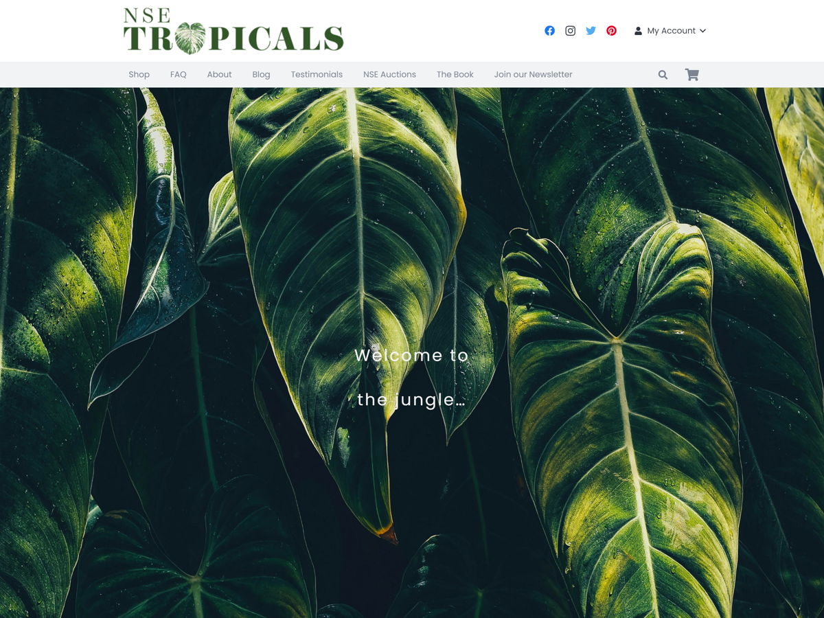 Screenshot of NSE Tropicals, from the ecommerce websites collection.
