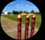 Upwood CC logo