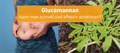 schnell abnehmen mit glucomannan