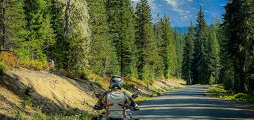 Explore the Gifford Pinchot near Toledo, WA