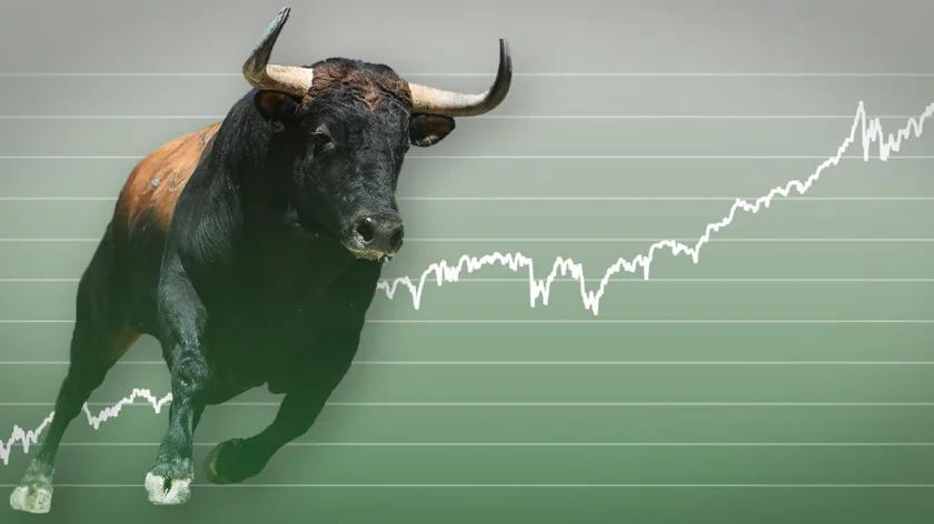 crypto bull market