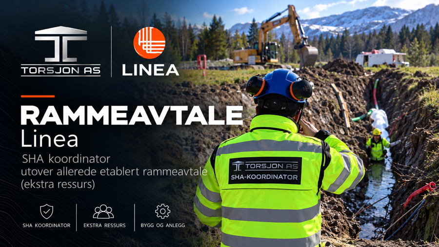 SHA Rammeavtale Linea, utover etablert avtale