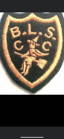 Broomleys Cricket Club logo