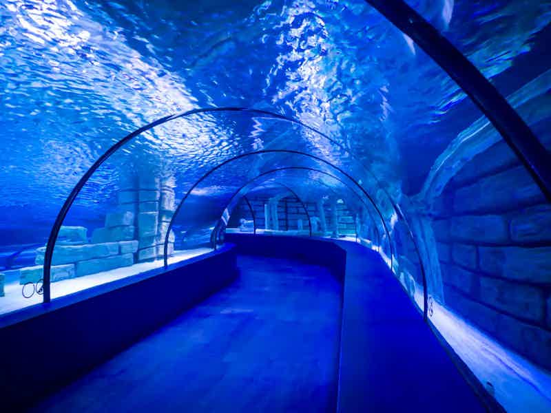 Antalya Aquarium - photo 1