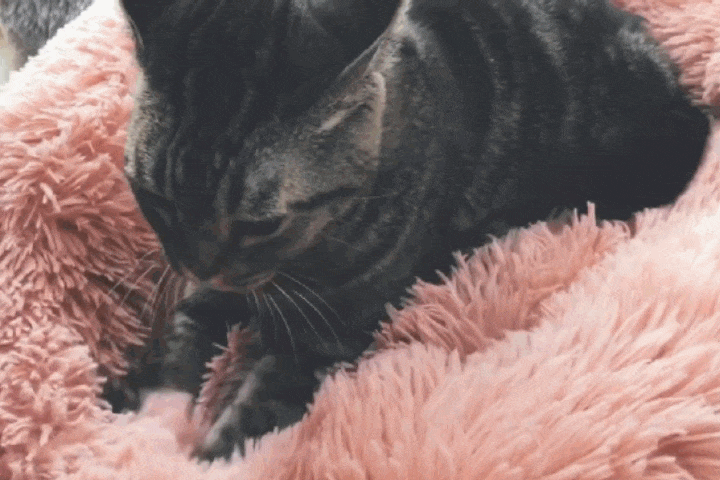 Cozy Calming Plush Cat Bed Comfy Vegan Fur Donut Cuddler Lounger