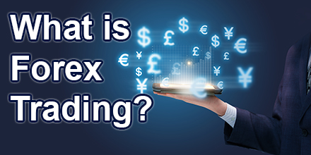 Orex Trading For Beginners