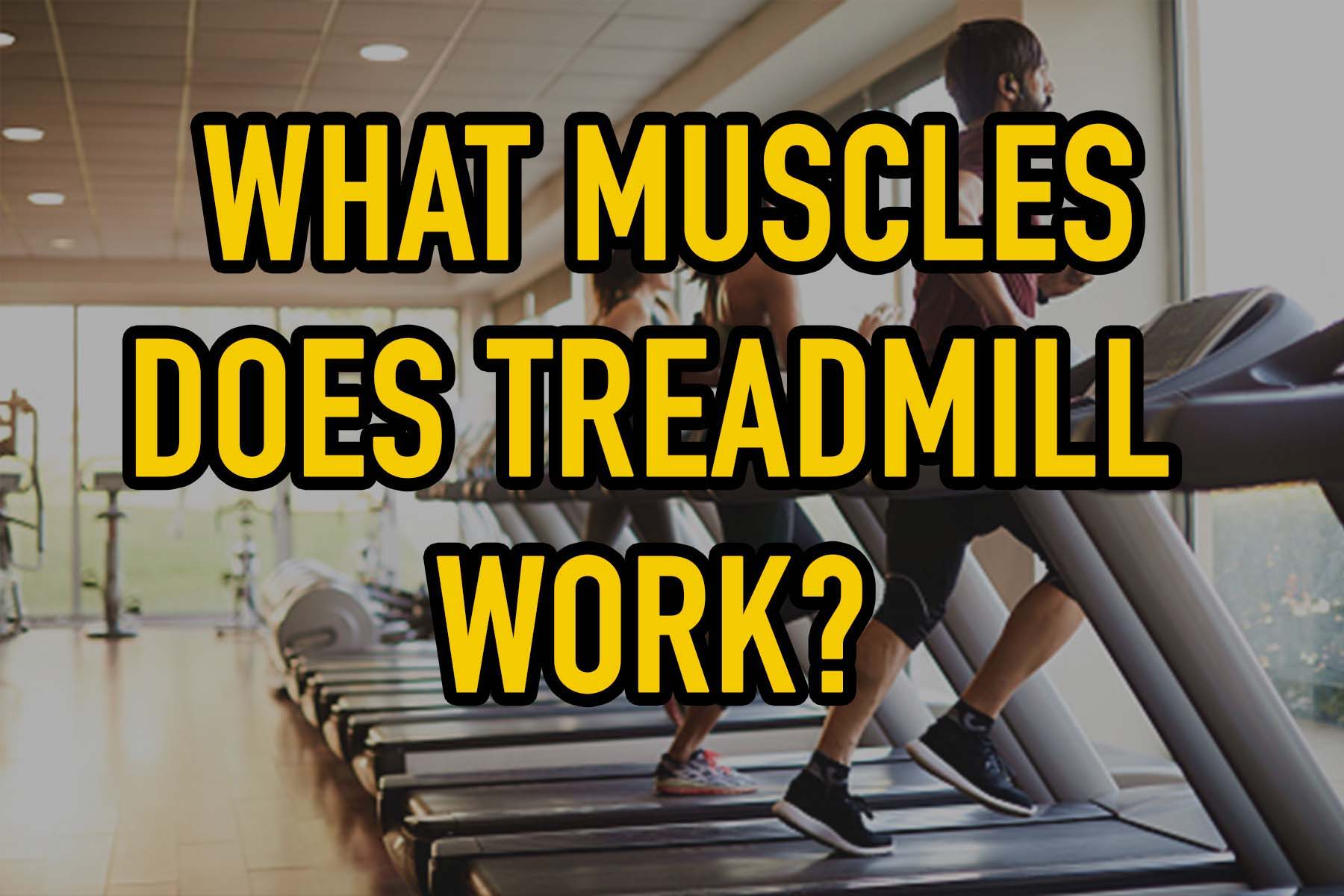what muscles does treadmill work